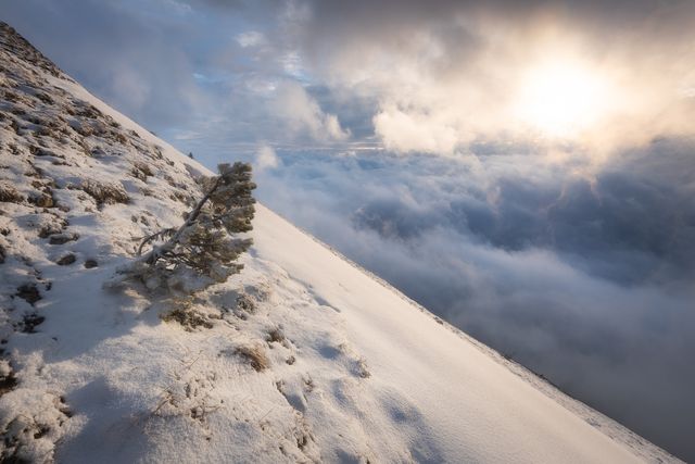 Côté Isère du mont Barral